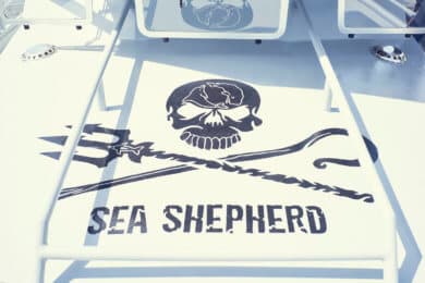 The Sea Shepherd logo