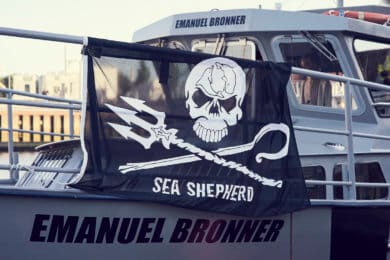 The Sea Shepherd flag outside the Emanuel Bronner ship