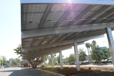 Underneath solar panels in a parking lot