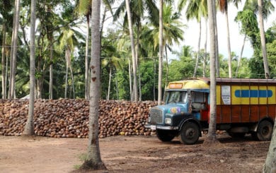 A bus parked next to a mound of coconuts