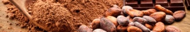 Hazelnuts and cacao powder