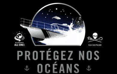 Protect Our Oceans: Dr. Bronner’s & Sea Shepherd (with French subtitles)