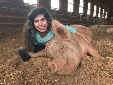 A woman crouching down next to a pig in a barn