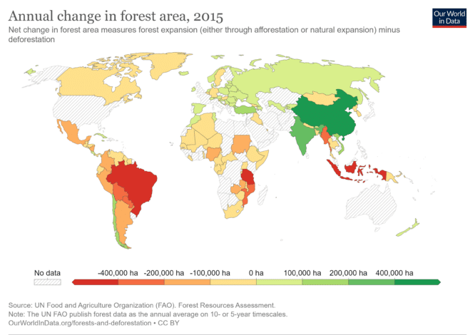 Global Deforestation: How Companies Can Curb It in Their Supply Chains