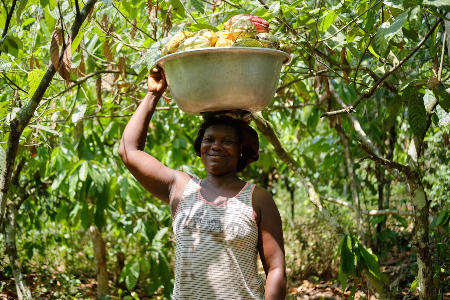 kany-an-ivory-coast-women-s-co-op-is-redefining-cocoa-labor